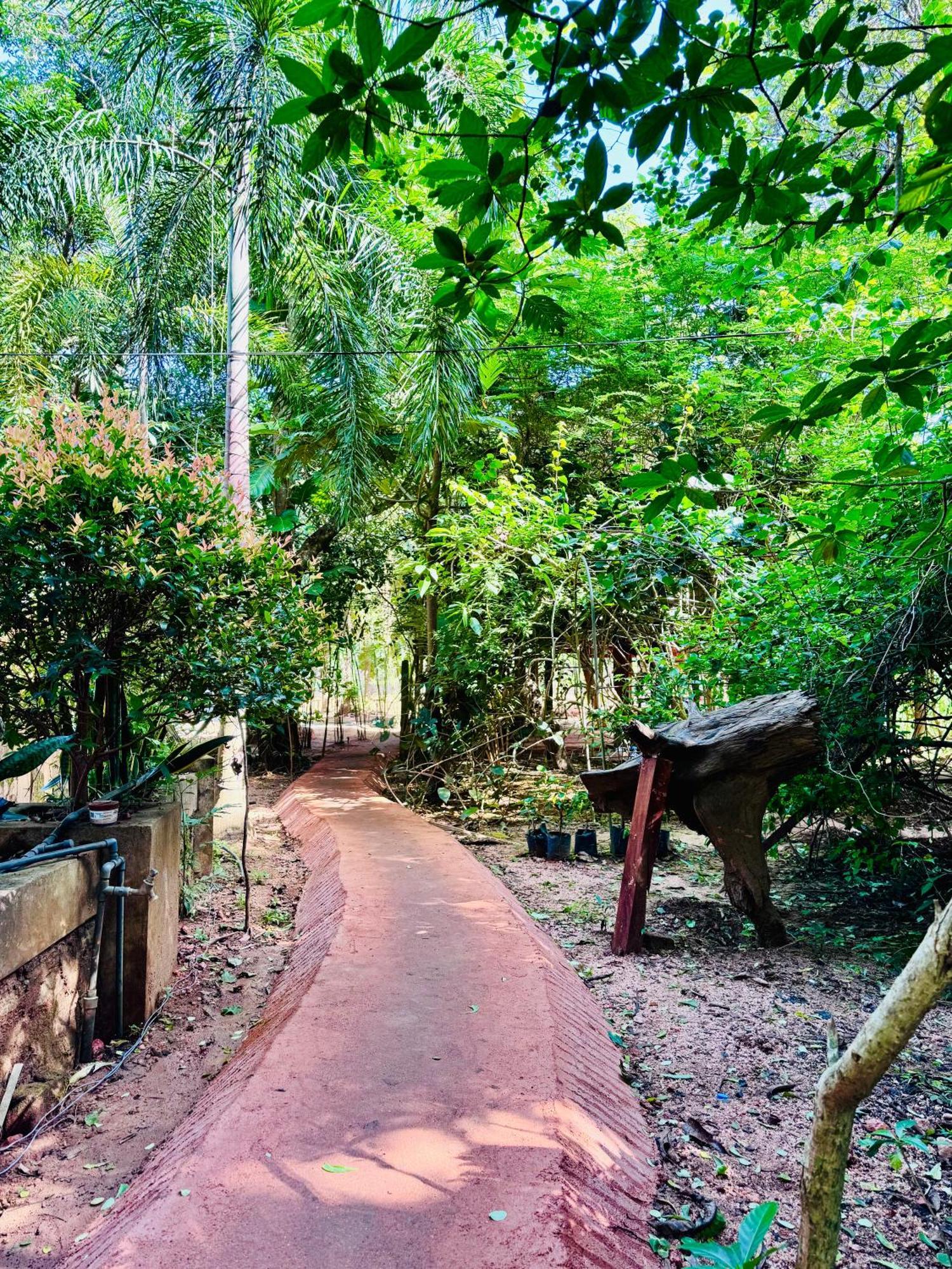 Woodland Sanctuary Hotel Habarana Kültér fotó